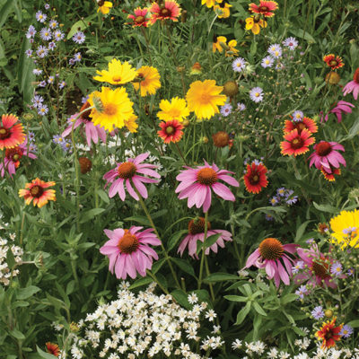 Honeybee Garden Flower Mat